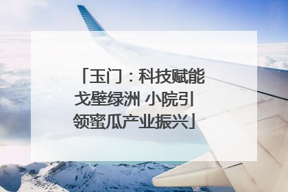 玉门：科技赋能戈壁绿洲 小院引领蜜瓜产业振兴