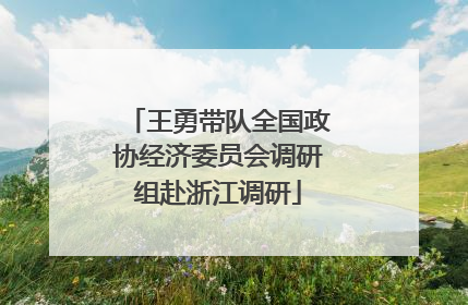 王勇带队全国政协经济委员会调研组赴浙江调研