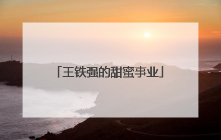 王铁强的甜蜜事业