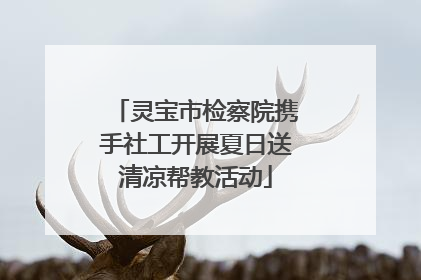 灵宝市检察院携手社工开展夏日送清凉帮教活动