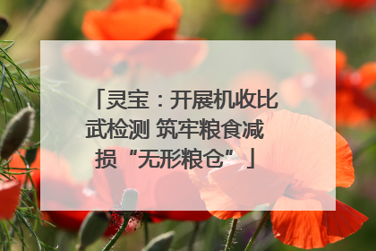 灵宝：开展机收比武检测 筑牢粮食减损“无形粮仓”
