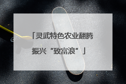 灵武特色农业翻腾振兴“致富浪”