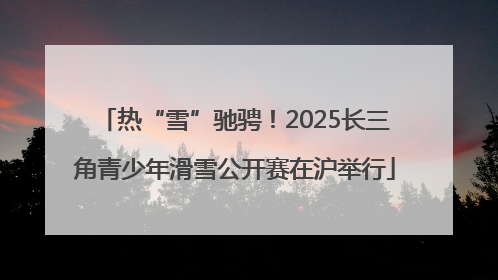 热“雪”驰骋！2025长三角青少年滑雪公开赛在沪举行