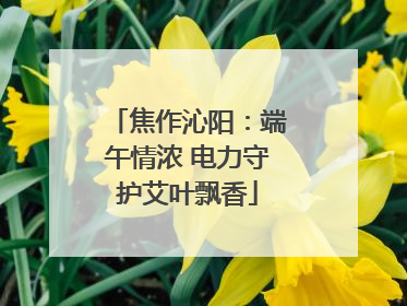 焦作沁阳：端午情浓 电力守护艾叶飘香