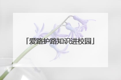 爱路护路知识进校园