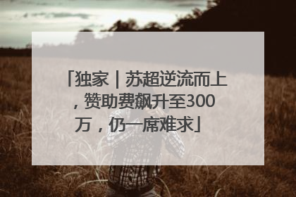 独家｜苏超逆流而上，赞助费飙升至300万，仍一席难求