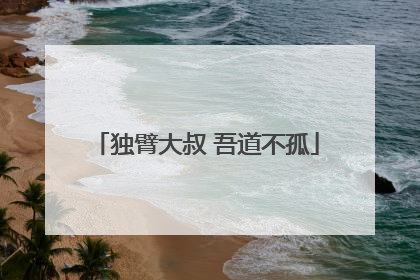独臂大叔 吾道不孤
