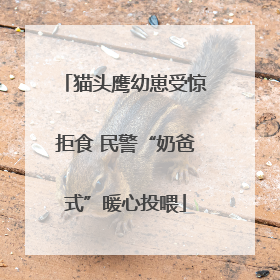 猫头鹰幼崽受惊拒食 民警“奶爸式”暖心投喂