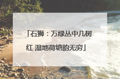 石狮：万绿丛中几树红 湿地荷塘韵无穷