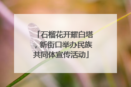 石榴花开耀白塔，新街口举办民族共同体宣传活动