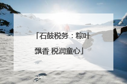 石鼓税务：粽叶飘香 税润童心
