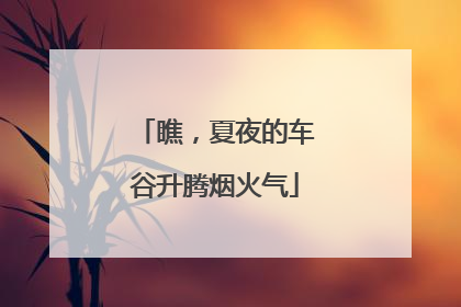 瞧，夏夜的车谷升腾烟火气