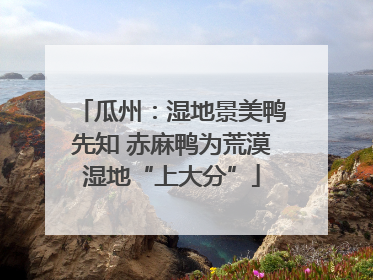 瓜州：湿地景美鸭先知 赤麻鸭为荒漠湿地“上大分”