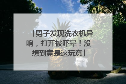 男子发现洗衣机异响，打开被吓晕！没想到竟是这玩意