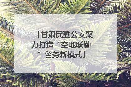 甘肃民勤公安聚力打造“空地联勤”警务新模式