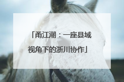 甬江潮：一座县域视角下的浙川协作