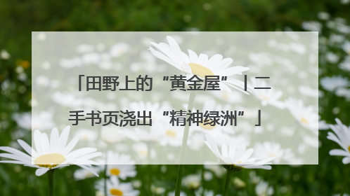 田野上的“黄金屋”丨二手书页浇出“精神绿洲”