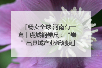 畅卖全球 河南有一套丨虞城钢卷尺：“卷”出县域产业新刻度