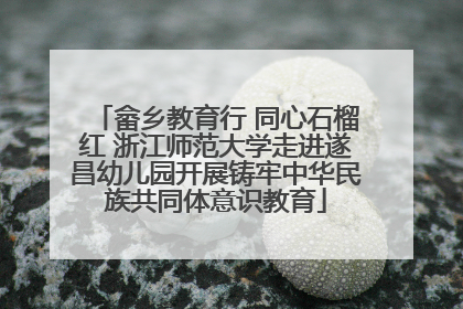 畲乡教育行 同心石榴红 浙江师范大学走进遂昌幼儿园开展铸牢中华民族共同体意识教育