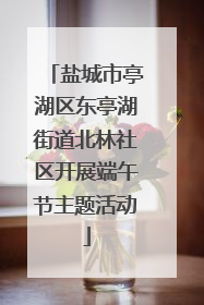 盐城市亭湖区东亭湖街道北林社区开展端午节主题活动