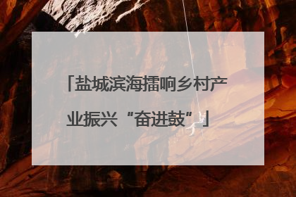 盐城滨海擂响乡村产业振兴“奋进鼓”