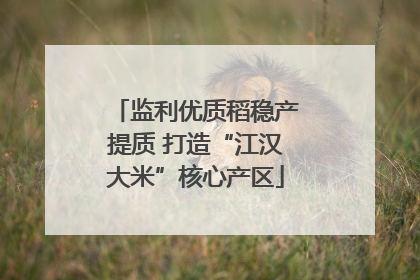 监利优质稻稳产提质 打造“江汉大米”核心产区