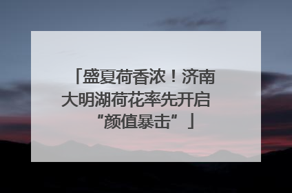 盛夏荷香浓！济南大明湖荷花率先开启“颜值暴击”