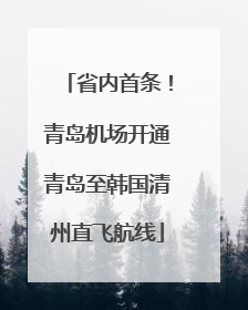 省内首条！青岛机场开通青岛至韩国清州直飞航线