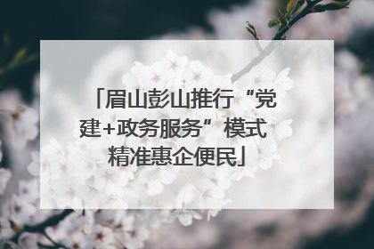 眉山彭山推行“党建+政务服务”模式 精准惠企便民