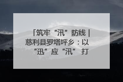 筑牢“汛”防线｜慈利县罗塔坪乡：以“迅”应“汛” 打赢暴雨防御战