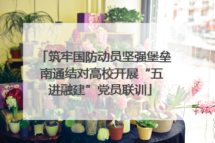 筑牢国防动员坚强堡垒 南通结对高校开展“五进融建”党员联训