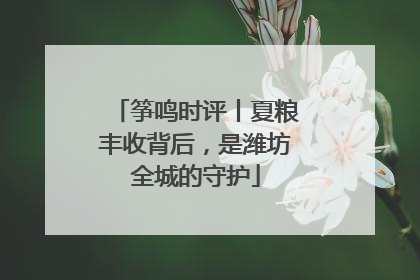 筝鸣时评丨夏粮丰收背后，是潍坊全城的守护