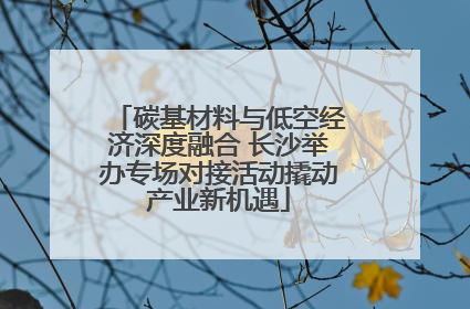 碳基材料与低空经济深度融合 长沙举办专场对接活动撬动产业新机遇