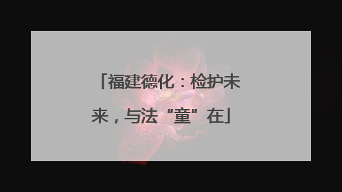 福建德化：检护未来，与法“童”在