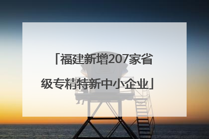 福建新增207家省级专精特新中小企业