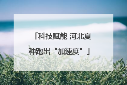 科技赋能 河北夏种跑出“加速度”