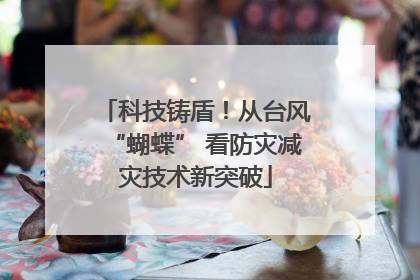 科技铸盾！从台风“蝴蝶” 看防灾减灾技术新突破