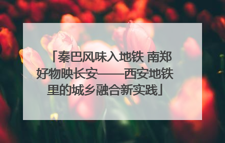 秦巴风味入地铁 南郑好物映长安——西安地铁里的城乡融合新实践