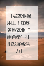 稳就业保用工！江苏各地就业“组合拳”打出发展新活力