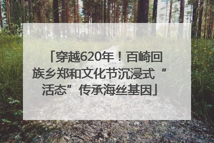 穿越620年！百崎回族乡郑和文化节沉浸式“活态”传承海丝基因