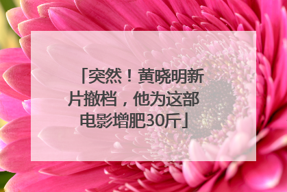 突然！黄晓明新片撤档，他为这部电影增肥30斤