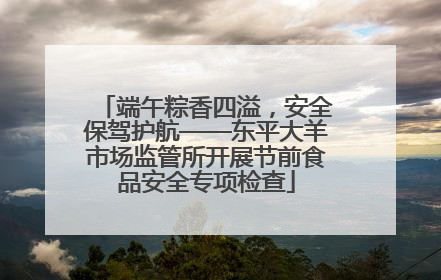 端午粽香四溢，安全保驾护航——东平大羊市场监管所开展节前食品安全专项检查