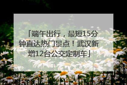 端午出行，最短15分钟直达热门景点！武汉新增12台公交定制车