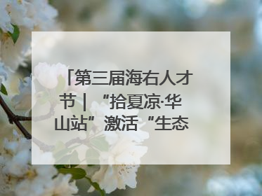 第三届海右人才节｜“拾夏凉·华山站”激活“生态聚才”强磁场