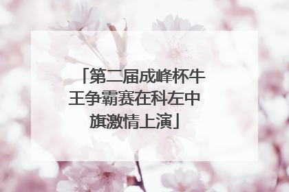 第二届成峰杯牛王争霸赛在科左中旗激情上演