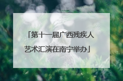 第十一届广西残疾人艺术汇演在南宁举办