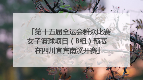 第十五届全运会群众比赛女子篮球项目（B组）预赛在四川宜宾南溪开赛
