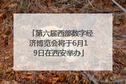 第六届西部数字经济博览会将于6月19日在西安举办