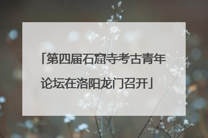 第四届石窟寺考古青年论坛在洛阳龙门召开