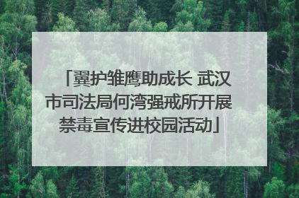 翼护雏鹰助成长 武汉市司法局何湾强戒所开展禁毒宣传进校园活动